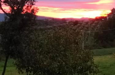 L'oca Nera - Foto 39