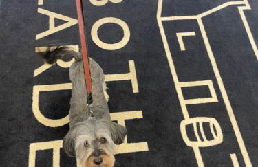 6 Rannoch, lovely holiday static caravan for dogs & their owners. - Photo 58