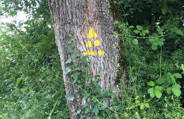 Gîtes Oasis du Lot - Foto 18