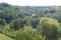 Agriturismo Le Querce - Foto 15