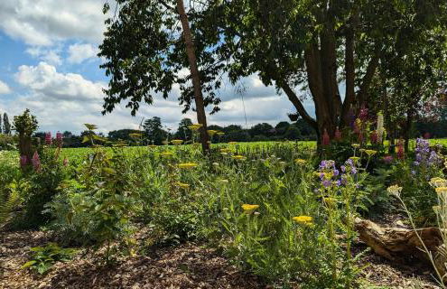 New traditional village house - Foto 33