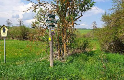 BirnenhofArts - Foto 20