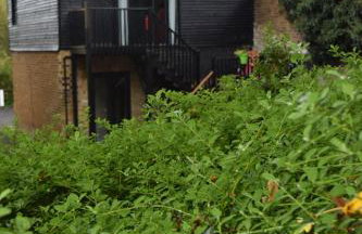 Watercress Barns - Photo 12