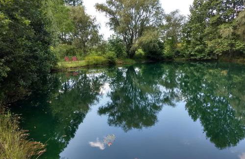 Cabin in the Woods-Peaceful 1BR 20-Acre Rural Retreat-HotTub&WiFi near Asheville - Foto 10