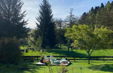 Ferienwohnung Sägemühle - Foto 48