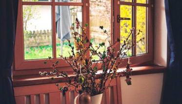 Apartment im Obstgarten - Foto 3