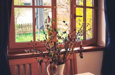 Apartment im Obstgarten - Foto 3