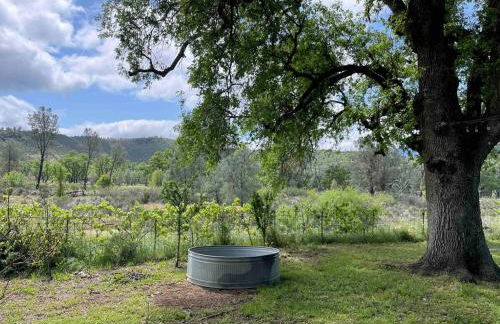 Garden house with gas fireplace - Foto 2
