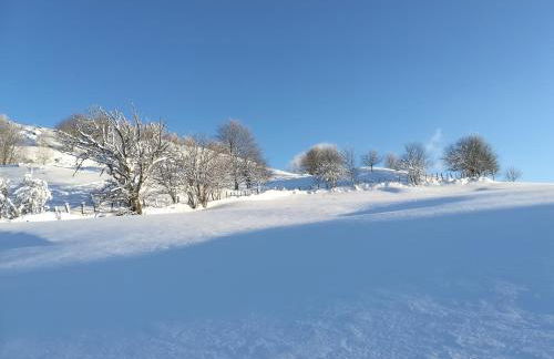 Gîtes de Moyenmont - Foto 39
