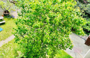 City Comfort Suite Anviolhomes - Foto 19