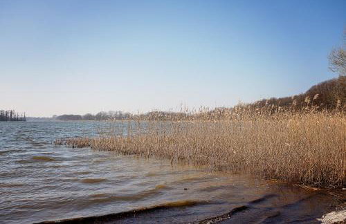 Ferienhaus-Wehr - Foto 51