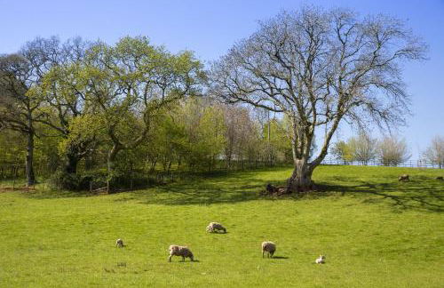 East Cornworthy Barton - Photo 31