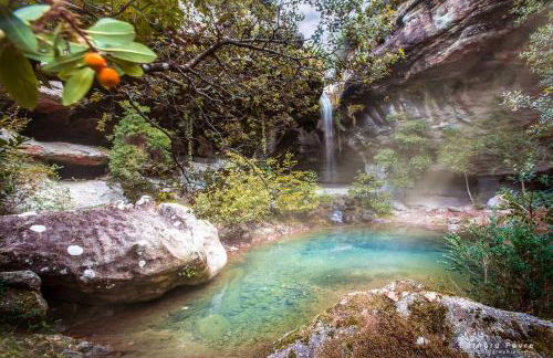 Mas Saint Antoine - Foto 69