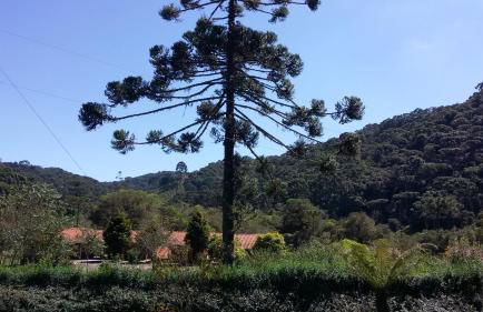 Recanto da Natureza- Chalé - Foto 55