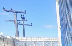 Chalé mobiliado para até 8 pessoas na praia do sossego pernambuco - Foto 25