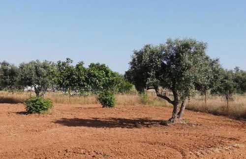 Burrico D`Orada - Rural Stays & Wine Country Tours - Foto 57