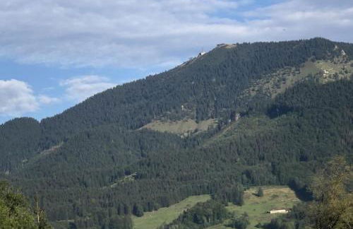 Fritzis Alpenidyll „Sommertraum & Winterromantik” - Foto 18