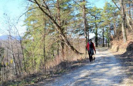 Old house by the stream - Photo 66