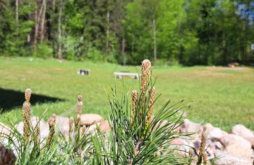 Leśny Reset - Foto 58