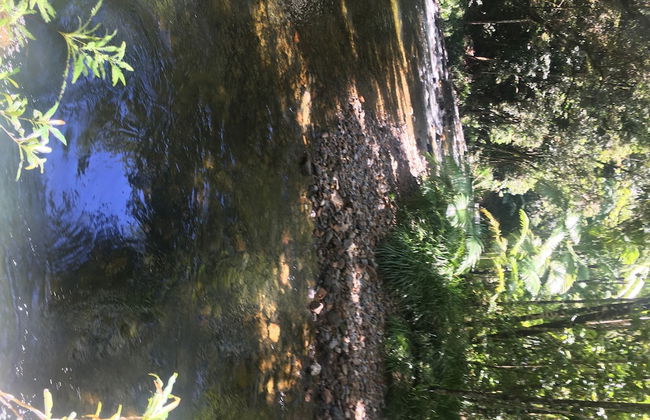 Mowbray by the Sea - Foto 48