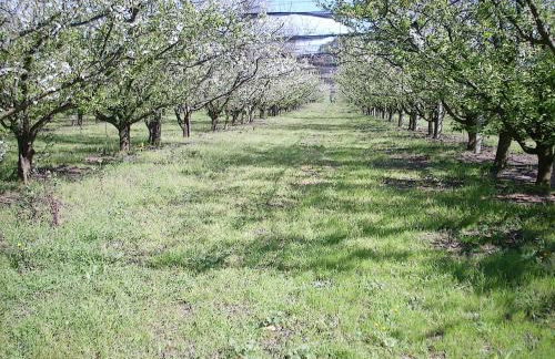 Agriturismoteo - Foto 33