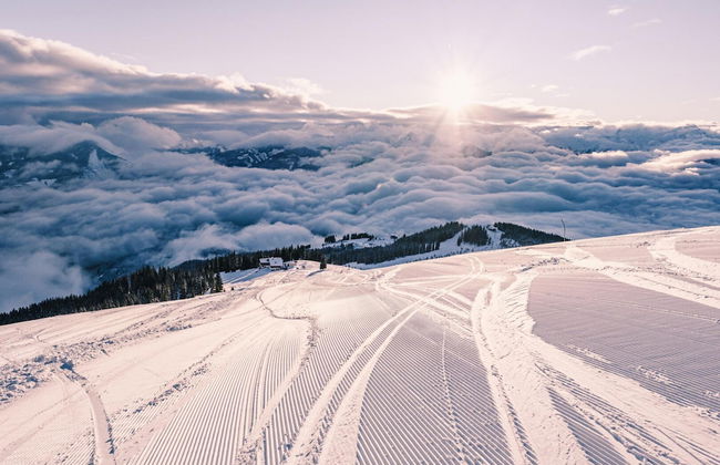 Apartment Bauernhof Birkh fl - TOP 3 - Foto 22