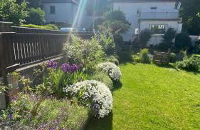 Stadthaus Lotus - Foto 19