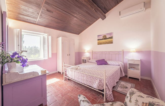 Tenuta di Poggio Cavallo - Foto 41