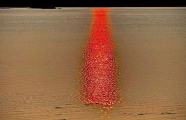 Charming Waterfront Sea Cottage with Private Beach near Bar Harbor, Hancock Maine - Photo 28