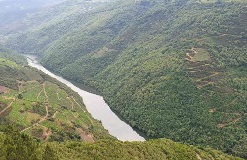 Casa do Hiebra Alojamiento Rural Ribeira Sacra - Foto 44