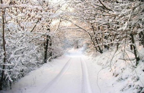 Beautiful Apartment In Reifferscheid - Foto 16