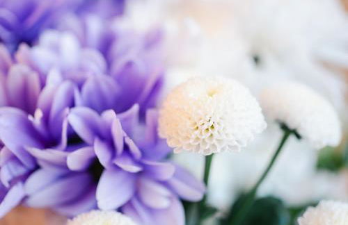 Holiday Home Cooriedoon by Interhome - Photo 47