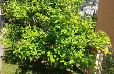 PROFUMO di LIMONE APPARTAMENTO CON GIARDINO - Foto 26