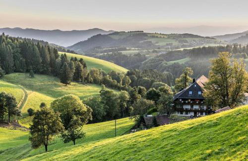 Fredys Paradies in der Dom Stadt St Blasien - Foto 28