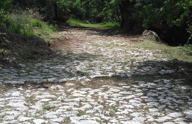 Agriturismo Podere La Paolina - Foto 37