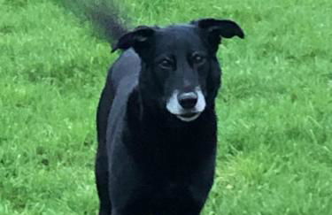 Rural Long Term Accommodation - Foto 54