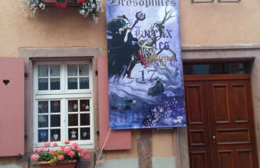 La Maison des Tanneurs - Foto 28