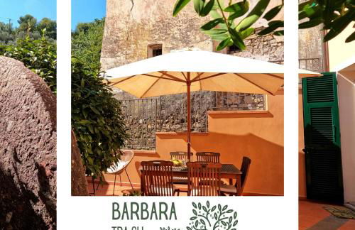 Barbara tra gli Ulivi - Foto 77