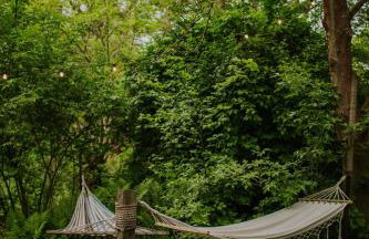 Przylesie 12 - Foto 37