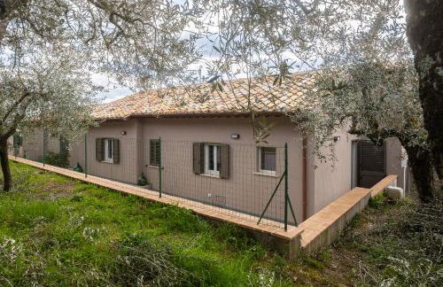 Lombardi Rita - Colle S. Martino - Photo 13