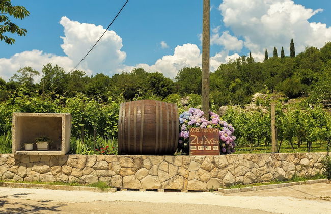 Konavle Apartments Zlatovisce 3 - Foto 20