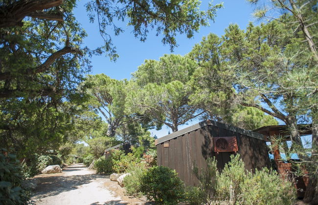 Residence Moby Dick - Foto 27