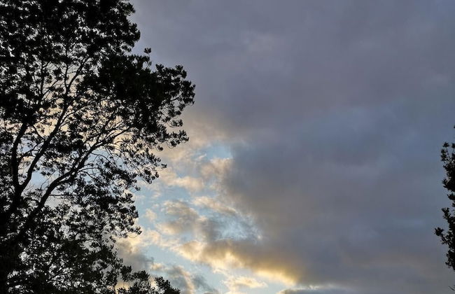 Landhaus Kaisershof - Foto 23