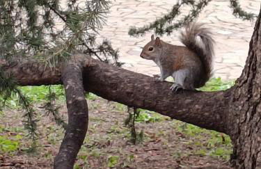 Garden Flat - Foto 36