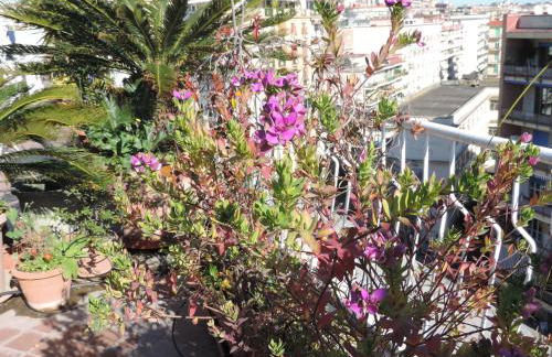 Sinfonia di Napoli - Foto 64