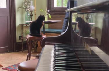 Pleine vue mer et plage - Foto 18