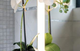 Luxuriöses Ferienhaus mit Sauna, Whirlpool und Fitnessraum im Nationalpark Schwarzwald - Foto 47