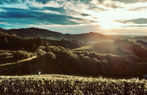 Ferienapartment Huber - Foto 26