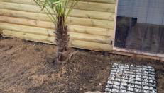 Galactic getaways MARS - Photo 3