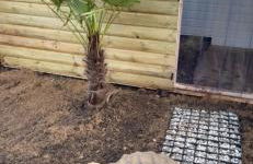 Galactic getaways MARS - Foto 3